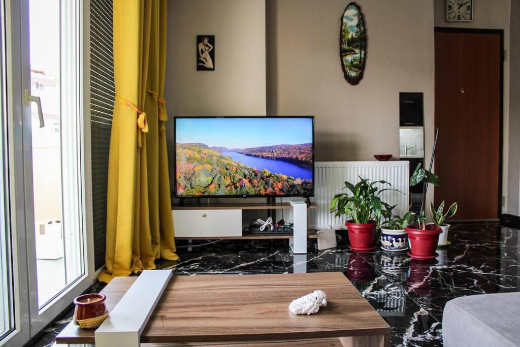 Anesis House Apartment *